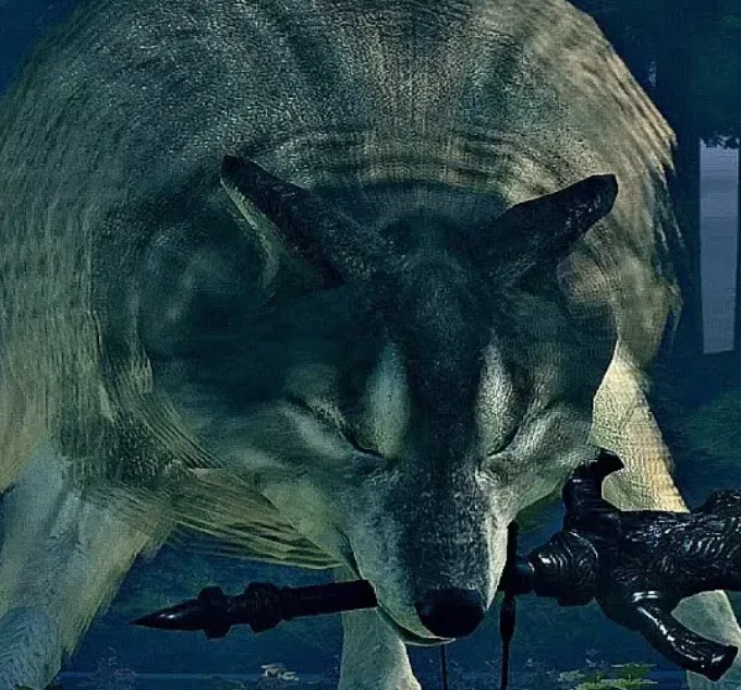 Great Grey Wolf Sif