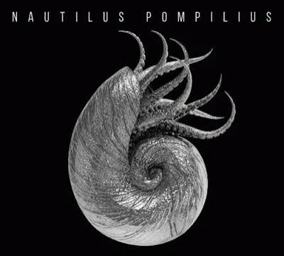Nautilus Pompilius