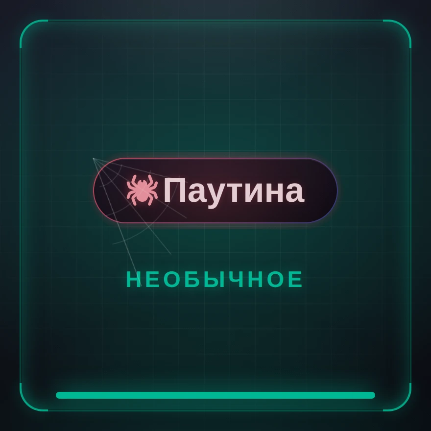 Паутина